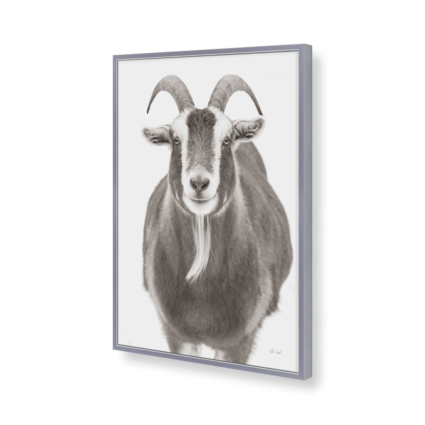 [Color:Polished Chrome], Picture of art in a Polished Chrome frame of the corner