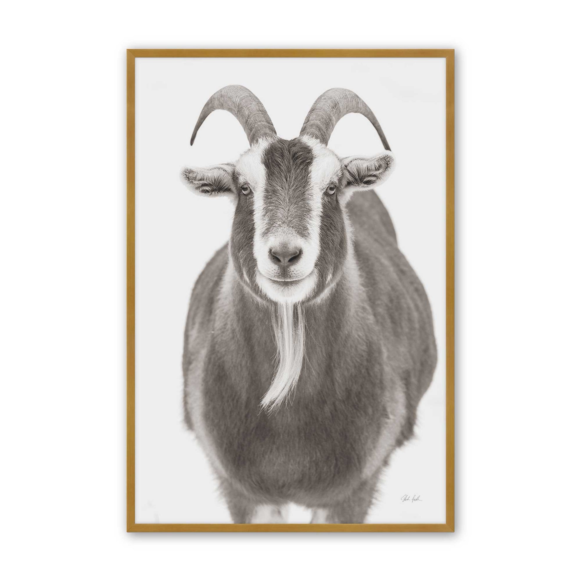 [Color:Polished Gold], Picture of art in a Polished Gold frame
