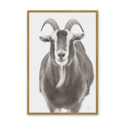 [Color:Polished Gold], Picture of art in a Polished Gold frame