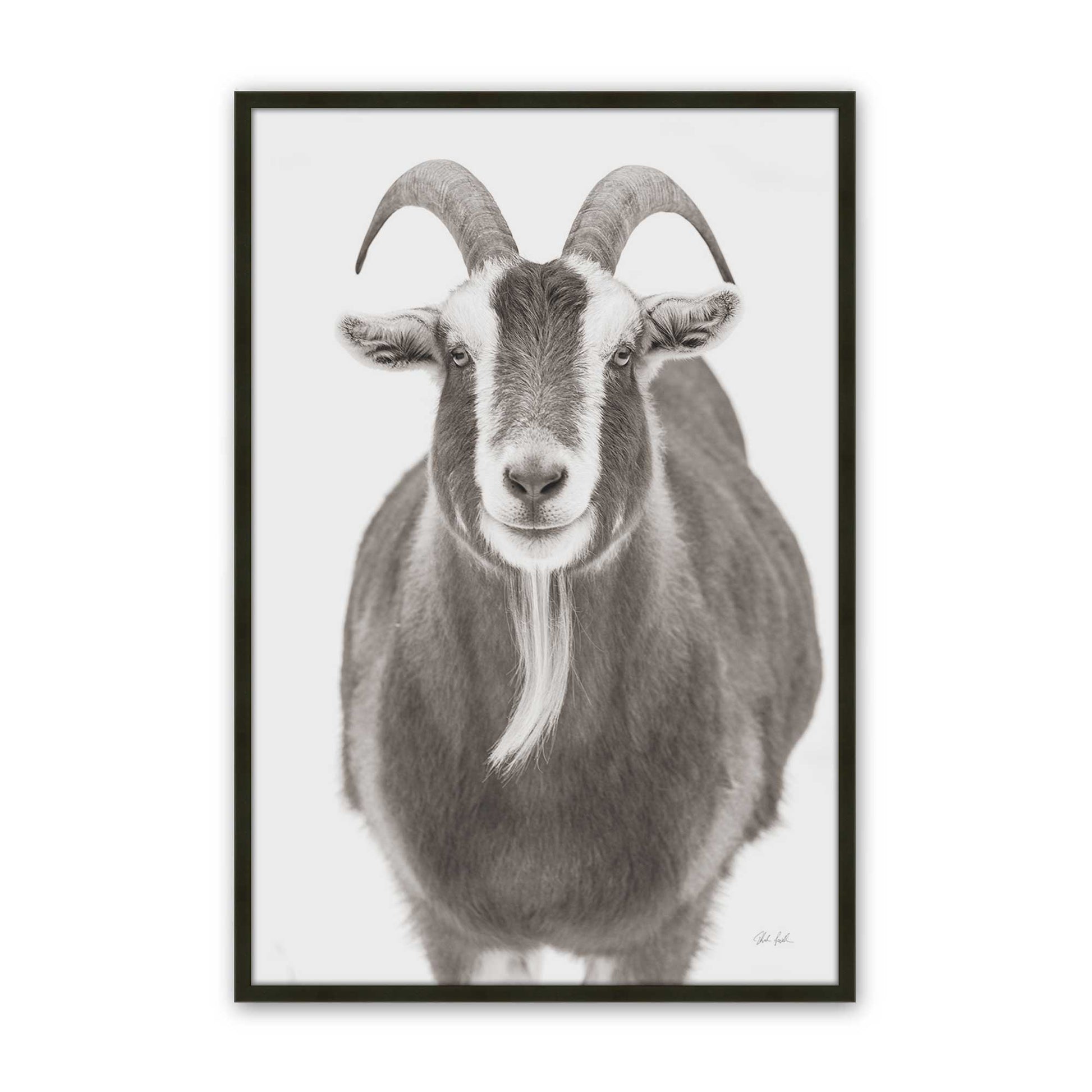 [Color:Satin Black], Picture of art in a Satin Black frame