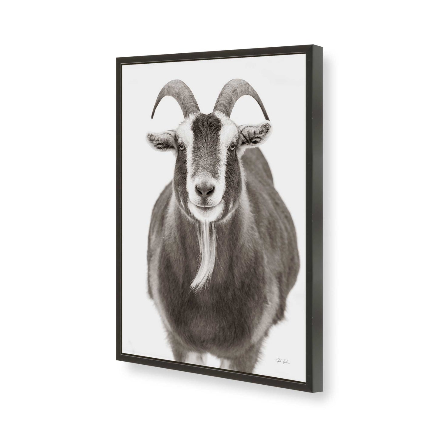 [Color:Satin Black], Picture of art in a Satin Black frame of the corner