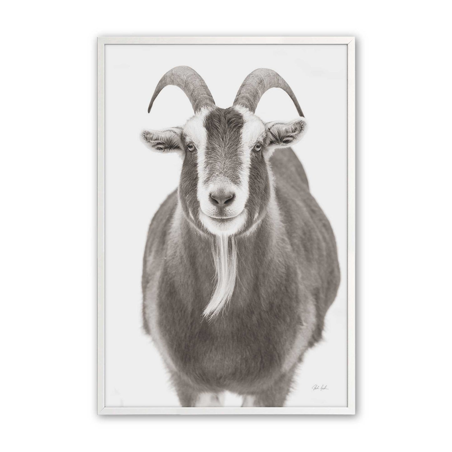 [Color:Opaque White], Picture of art in a Opaque White frame