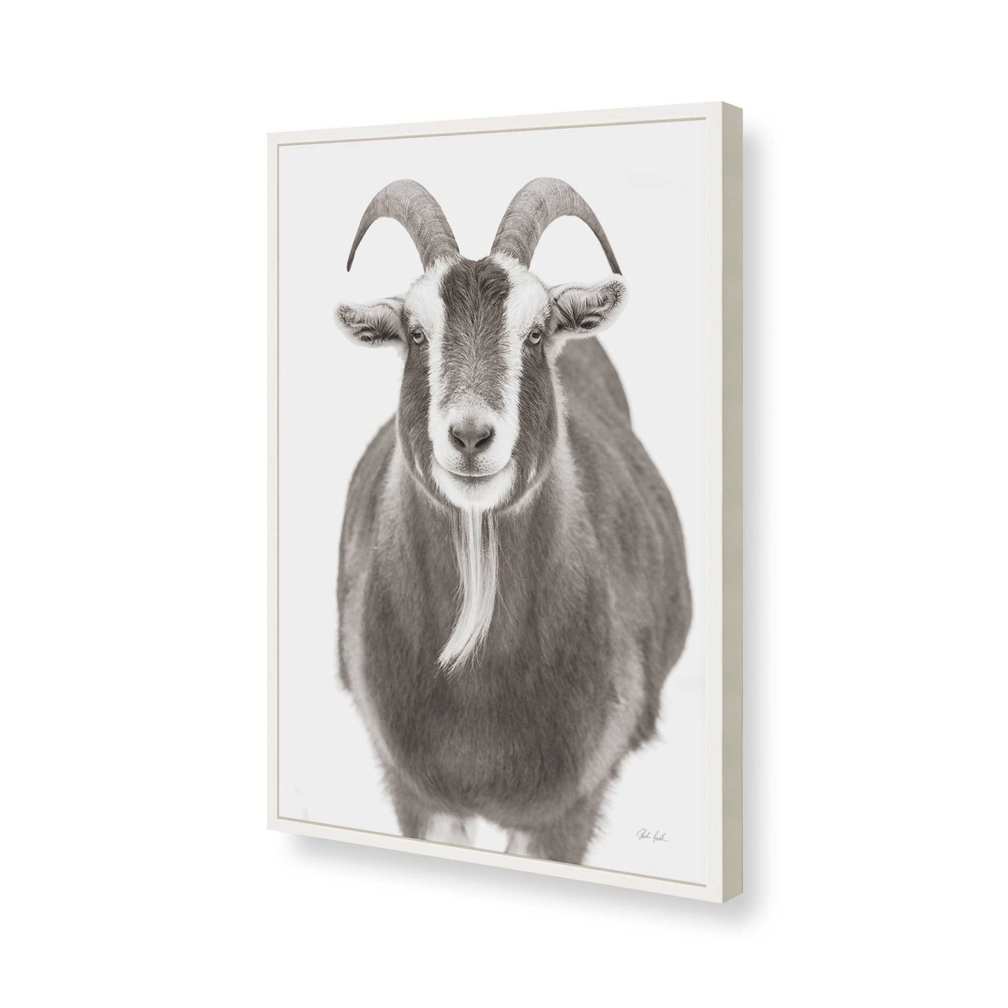 [Color:Opaque White], Picture of art in a Opaque White frame of the corner
