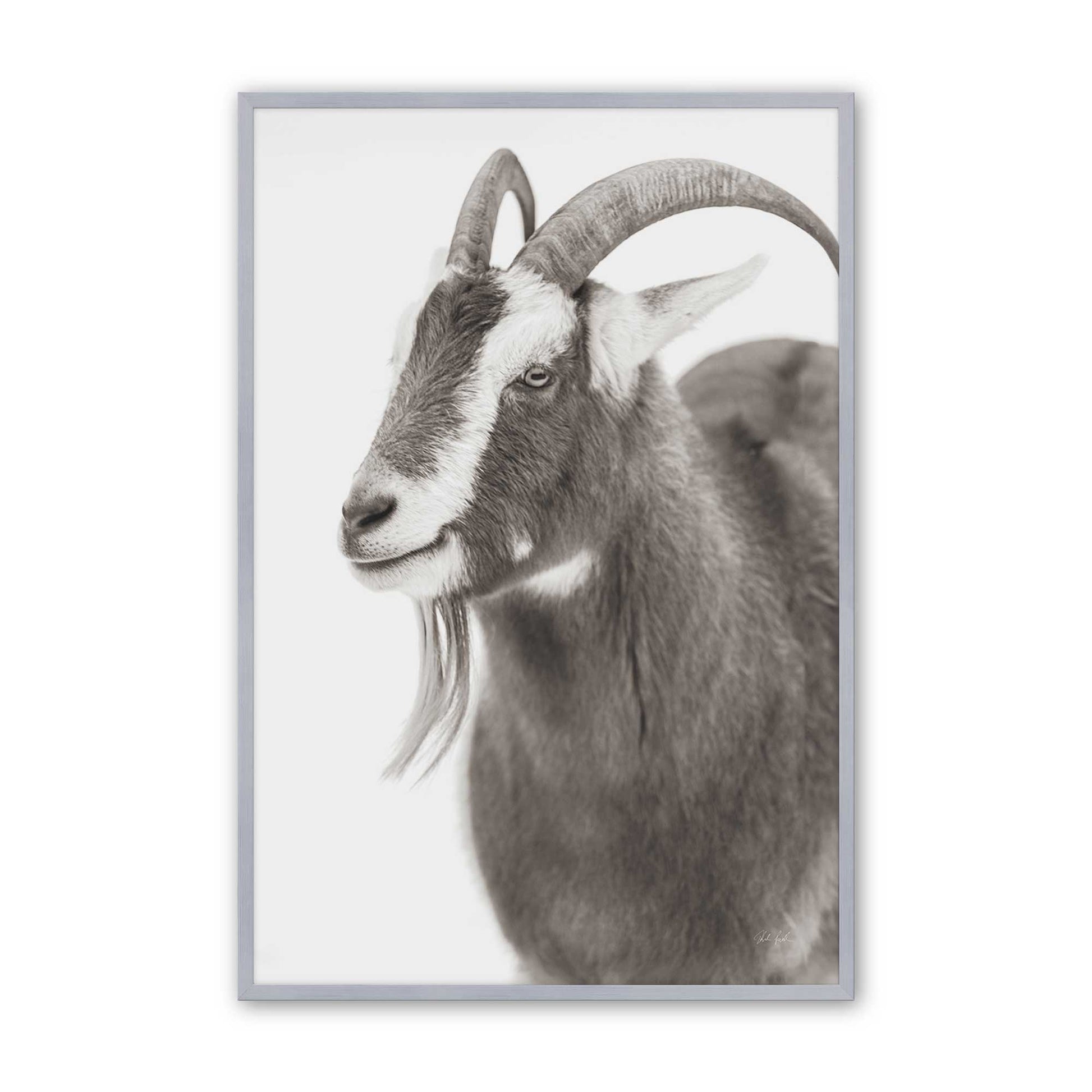 [Color:Polished Chrome], Picture of art in a Polished Chrome frame