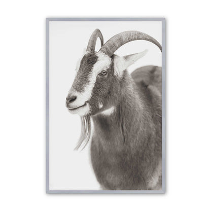 [Color:Polished Chrome], Picture of art in a Polished Chrome frame