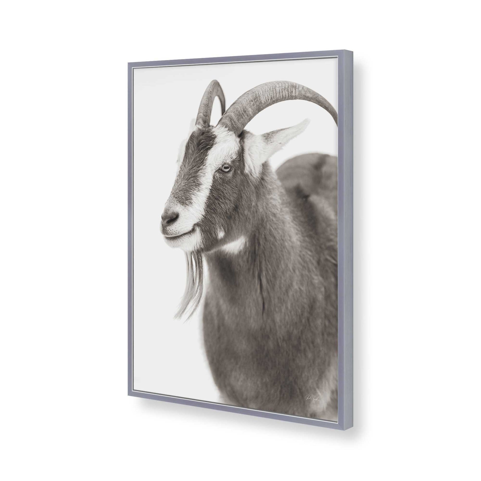 [Color:Polished Chrome], Picture of art in a Polished Chrome frame of the corner