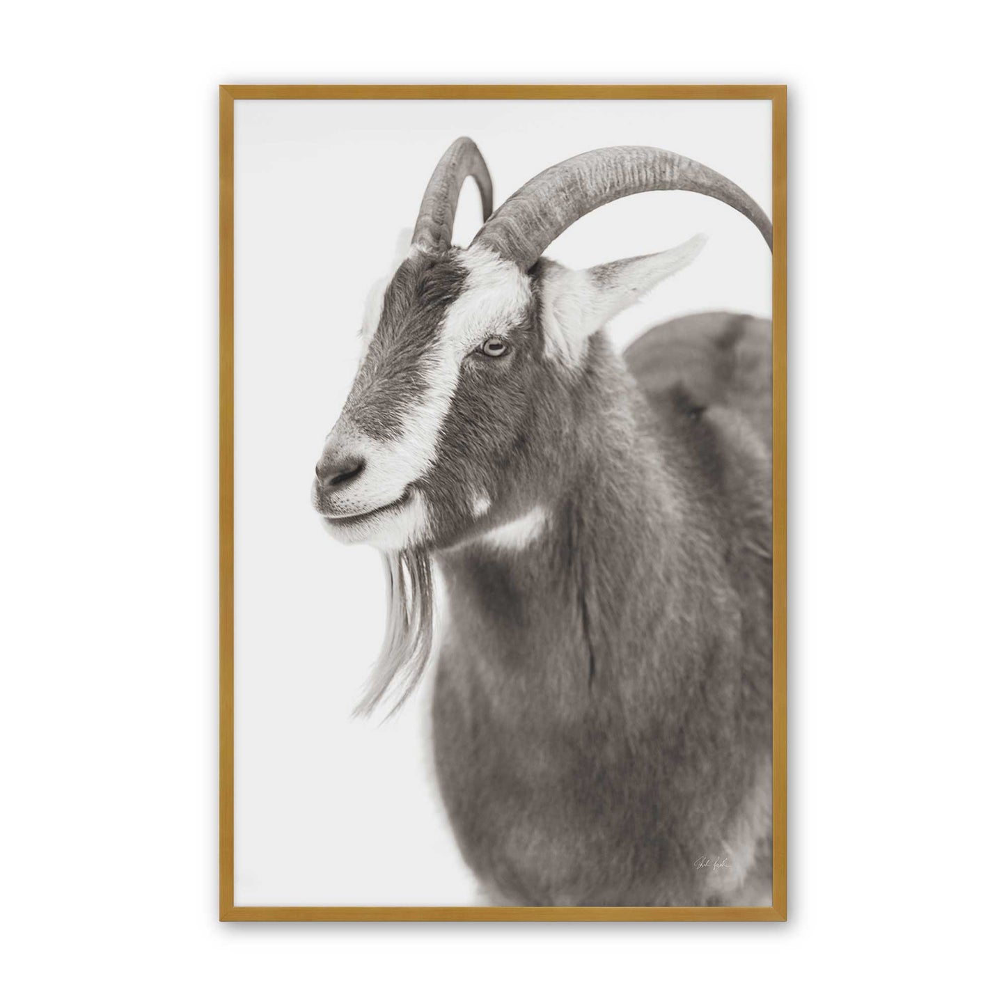 [Color:Polished Gold], Picture of art in a Polished Gold frame
