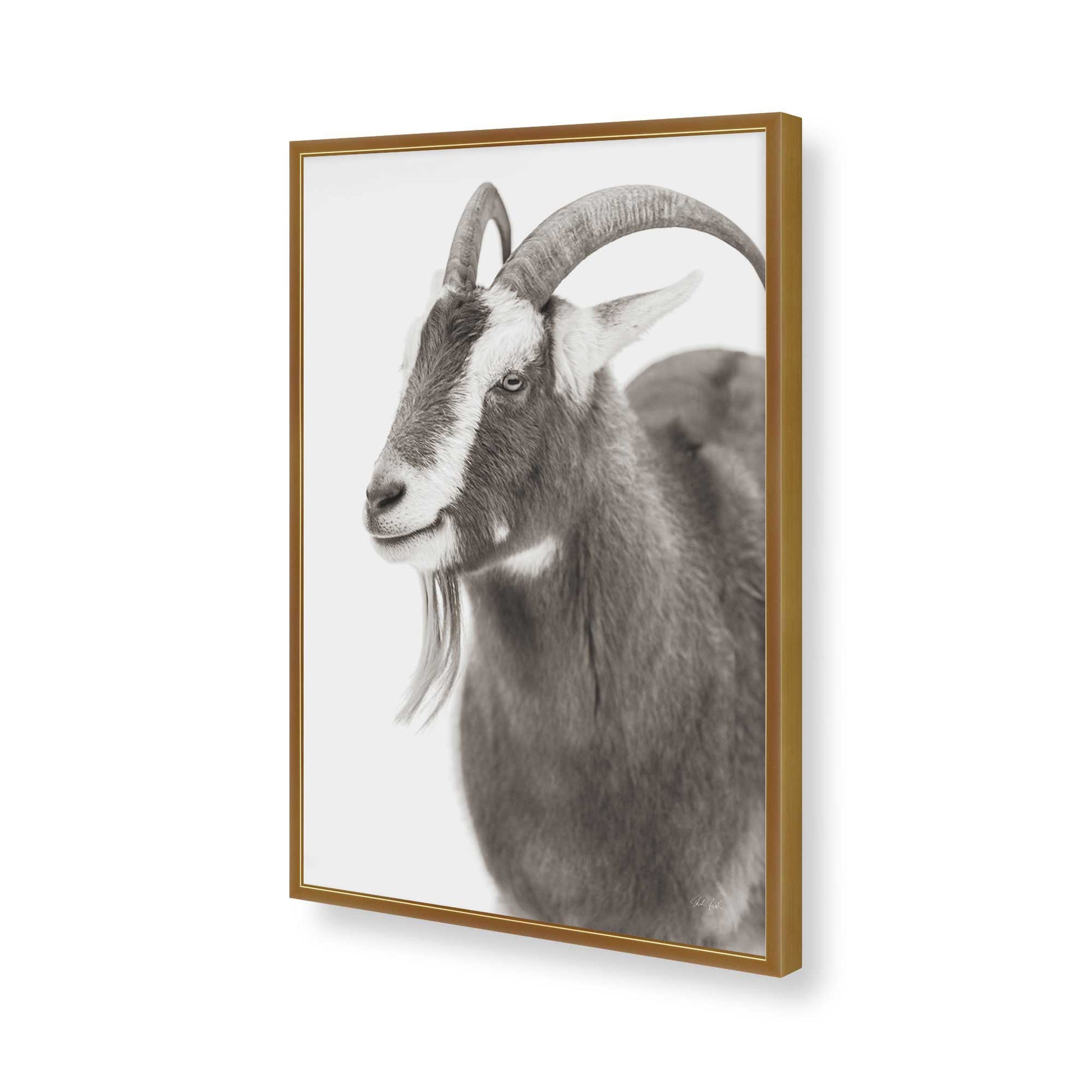 [Color:Polished Gold], Picture of art in a Polished Gold frame of the corner