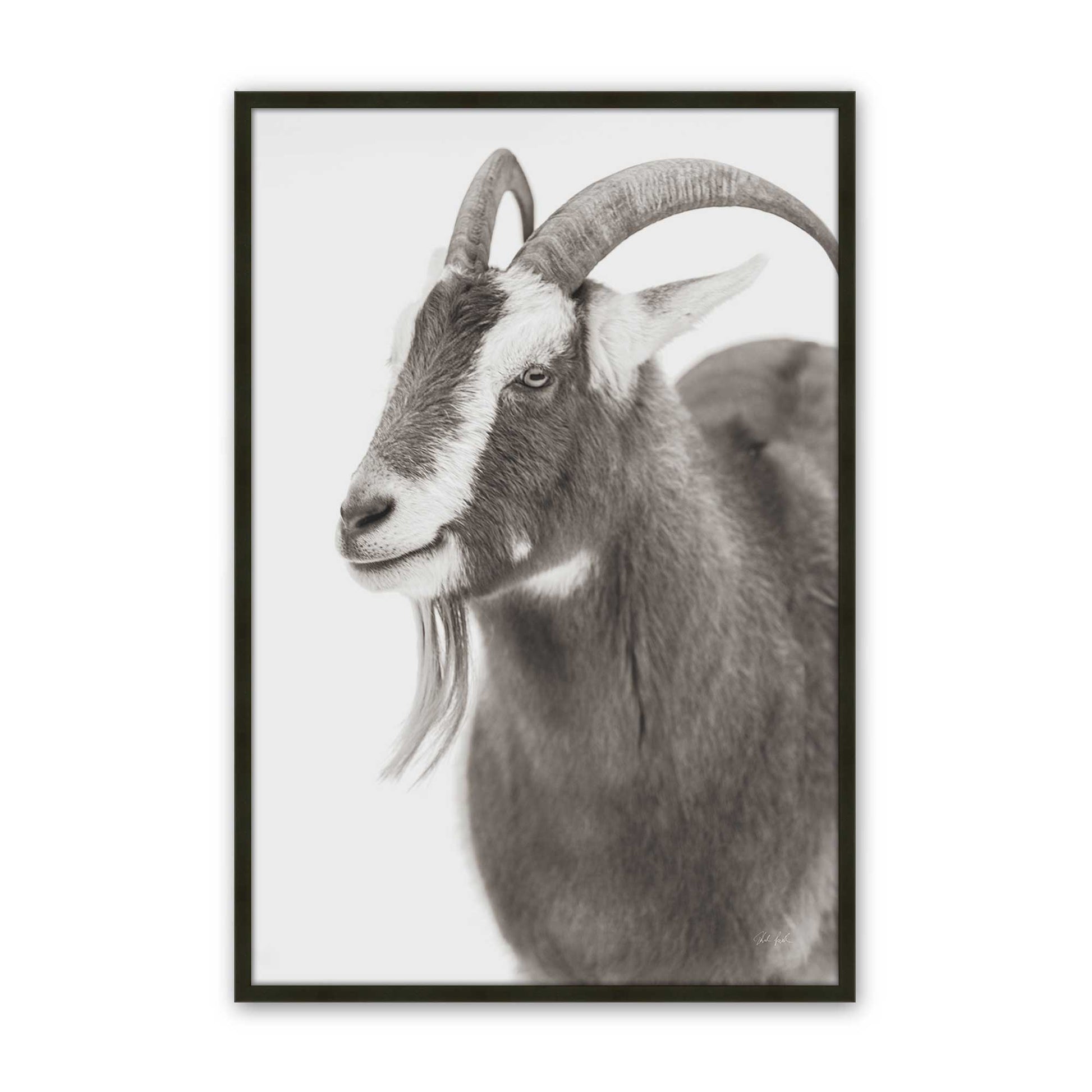 [Color:Satin Black], Picture of art in a Satin Black frame