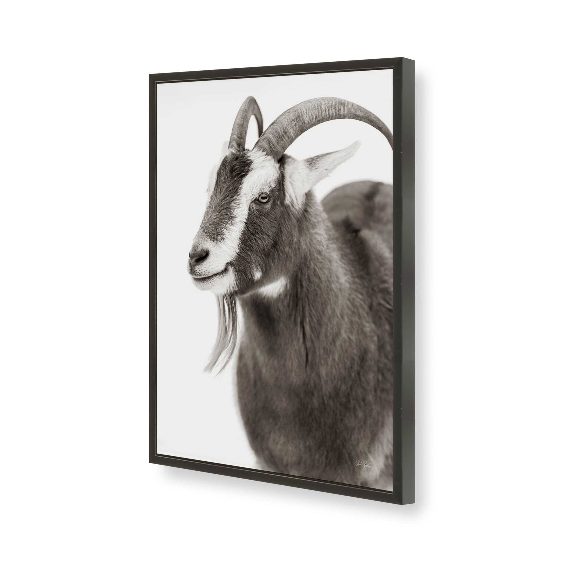 [Color:Satin Black], Picture of art in a Satin Black frame of the corner