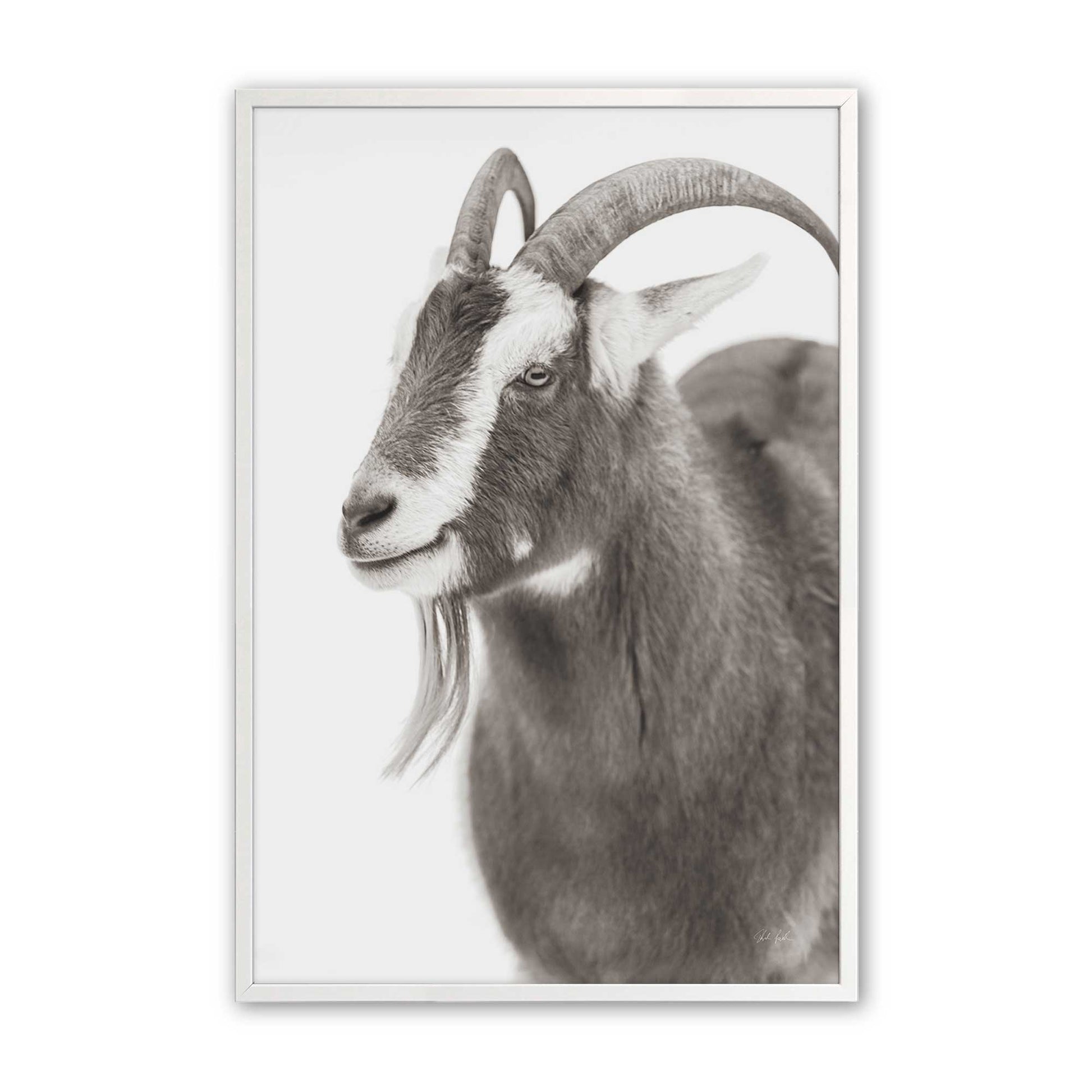 [Color:Opaque White], Picture of art in a Opaque White frame
