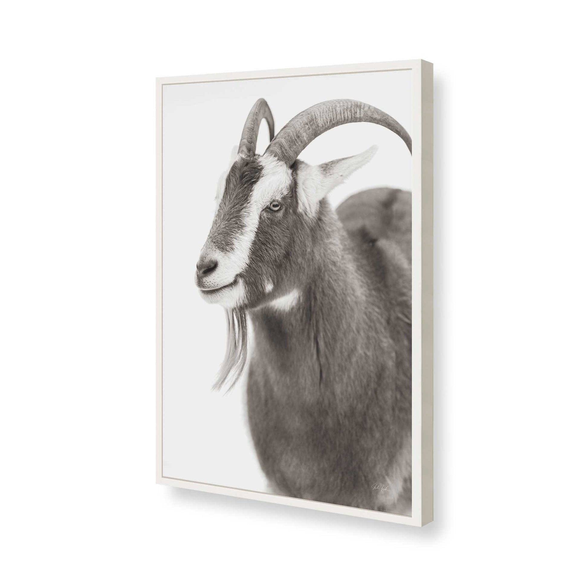 [Color:Opaque White], Picture of art in a Opaque White frame of the corner