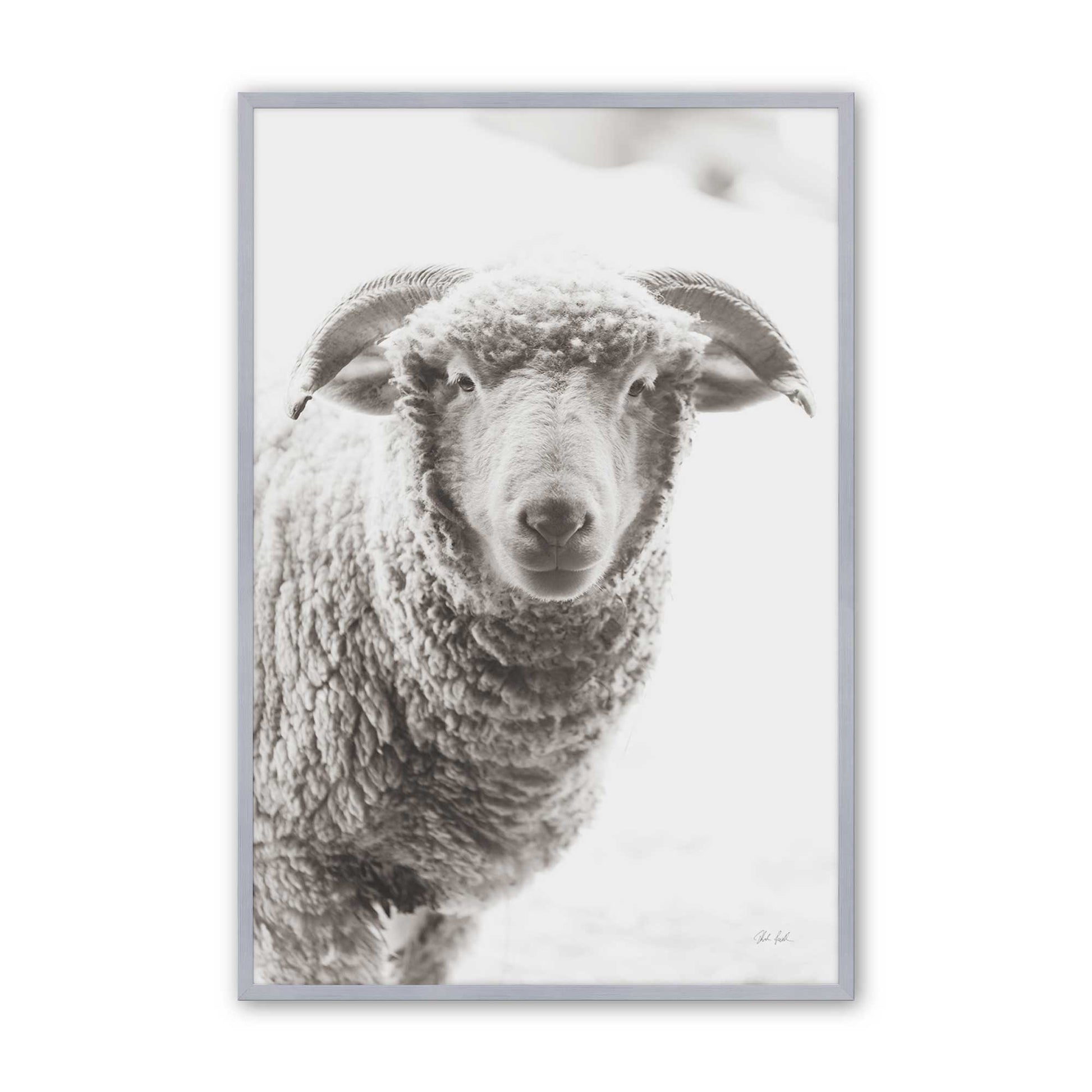 [Color:Polished Chrome], Picture of art in a Polished Chrome frame