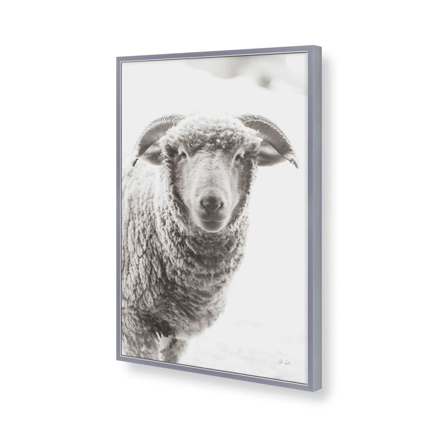 [Color:Polished Chrome], Picture of art in a Polished Chrome frame of the corner