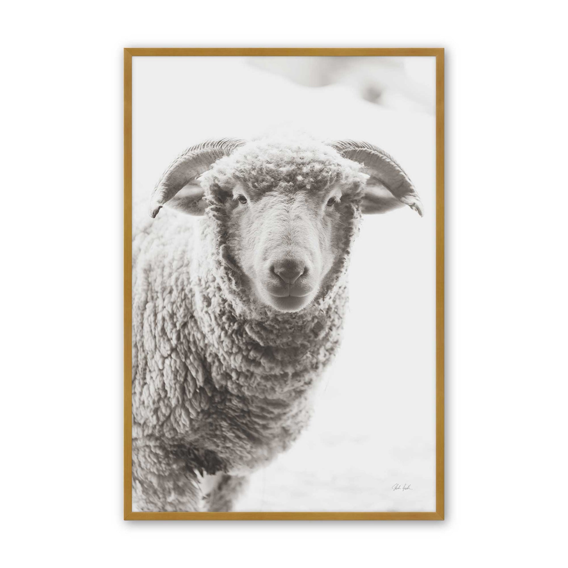 [Color:Polished Gold], Picture of art in a Polished Gold frame