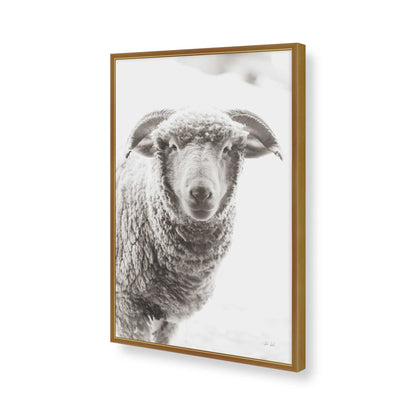 [Color:Polished Gold], Picture of art in a Polished Gold frame of the corner
