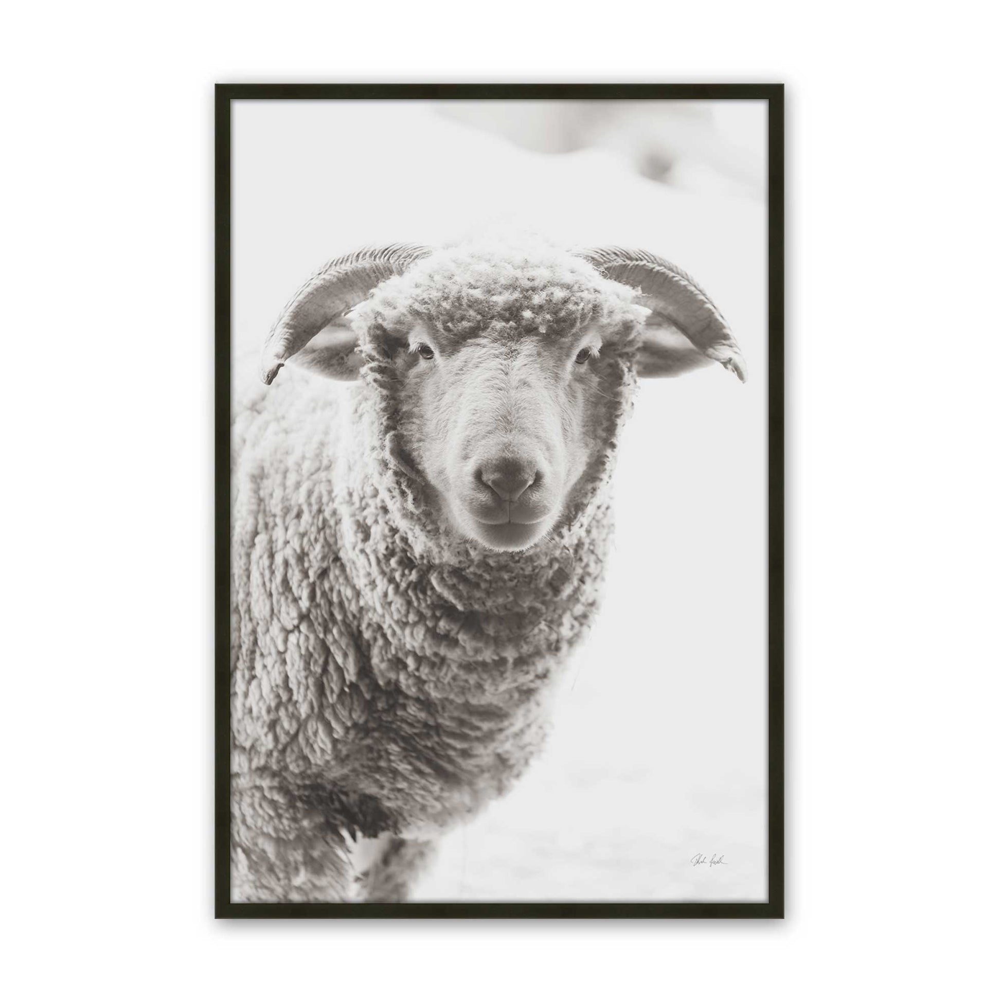 [Color:Satin Black], Picture of art in a Satin Black frame