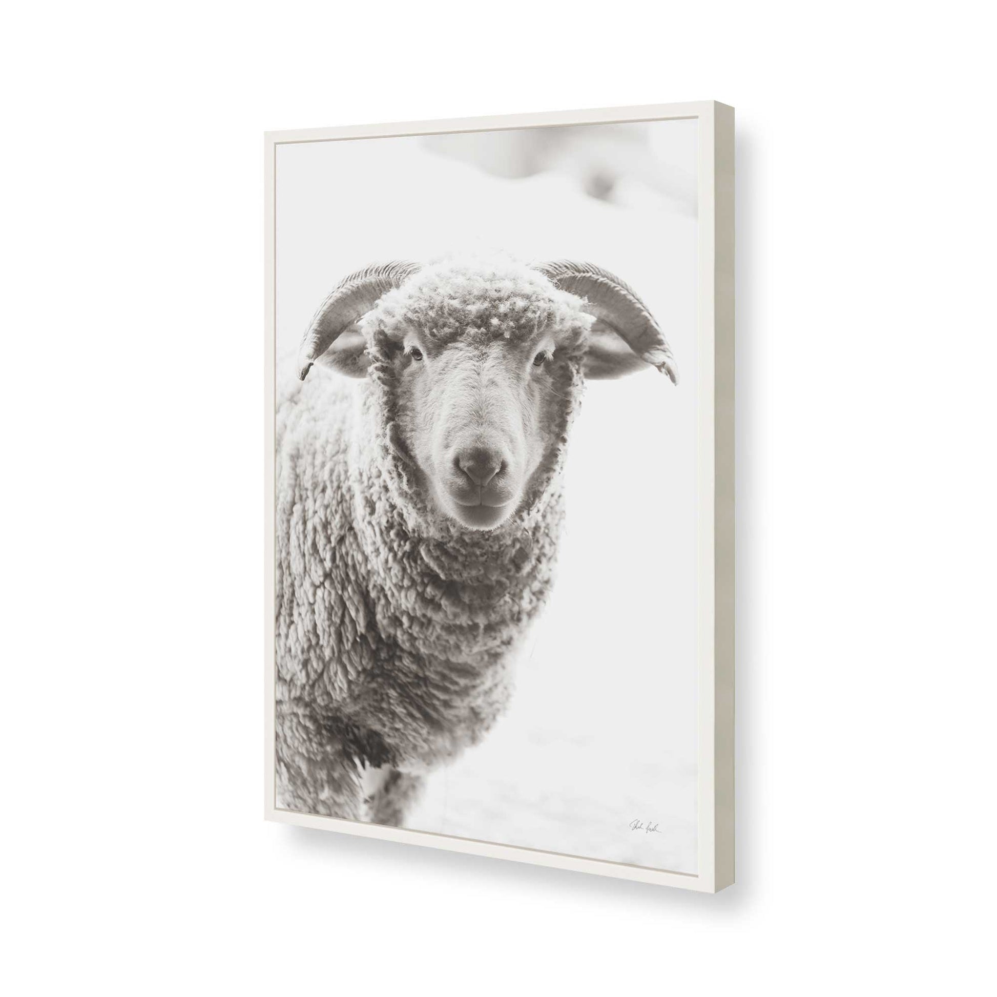 [Color:Opaque White], Picture of art in a Opaque White frame of the corner
