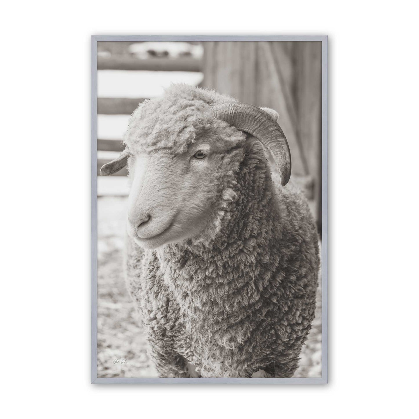 [Color:Polished Chrome], Picture of art in a Polished Chrome frame
