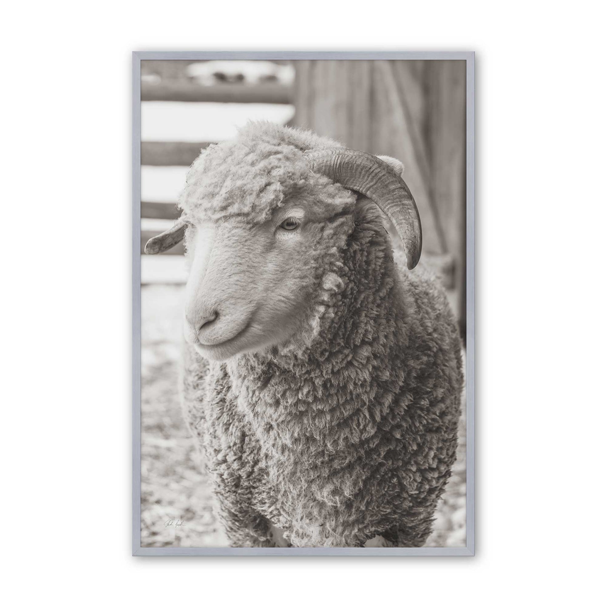 [Color:Polished Chrome], Picture of art in a Polished Chrome frame