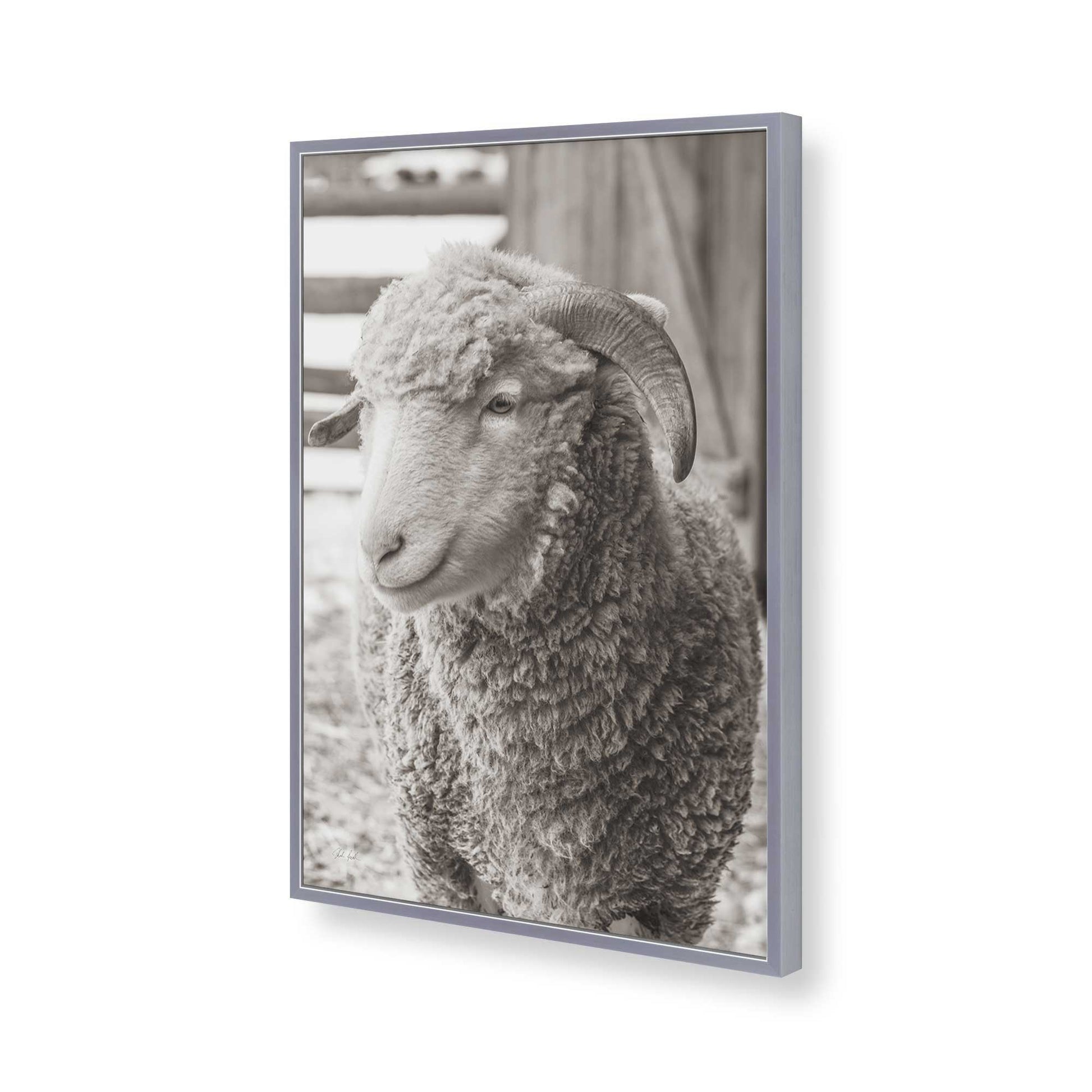 [Color:Polished Chrome], Picture of art in a Polished Chrome frame of the corner