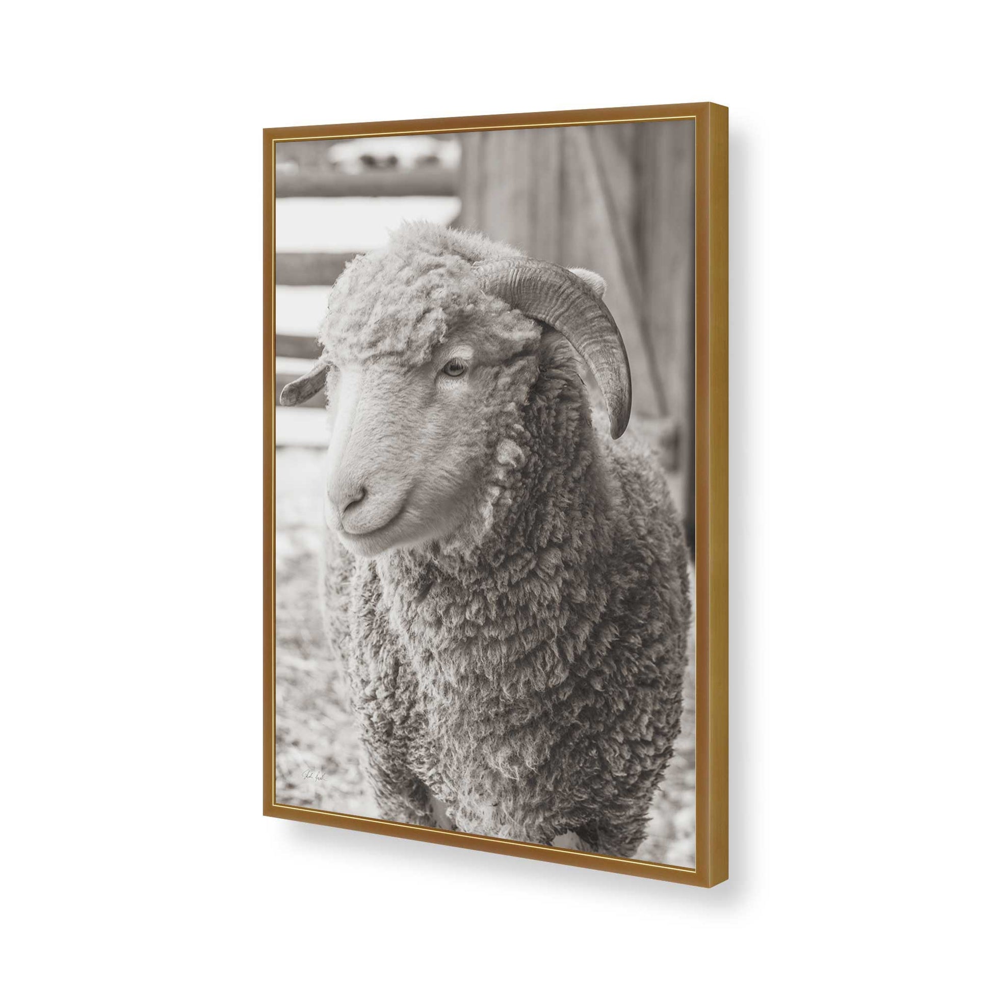 [Color:Polished Gold], Picture of art in a Polished Gold frame of the corner