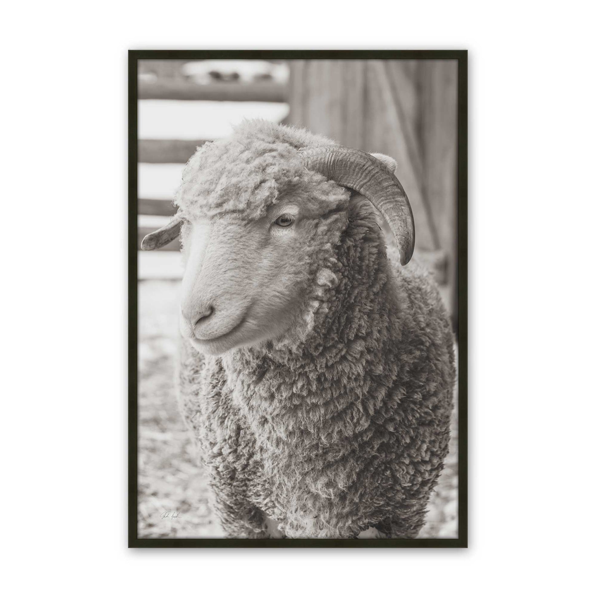[Color:Satin Black], Picture of art in a Satin Black frame
