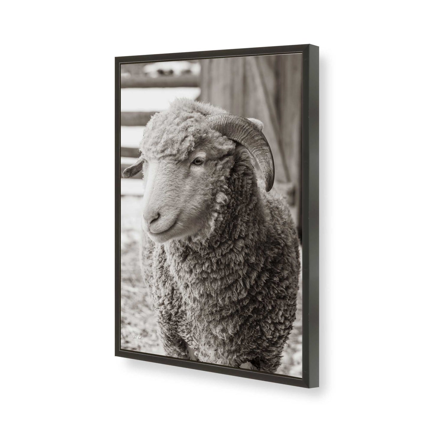 [Color:Satin Black], Picture of art in a Satin Black frame of the corner