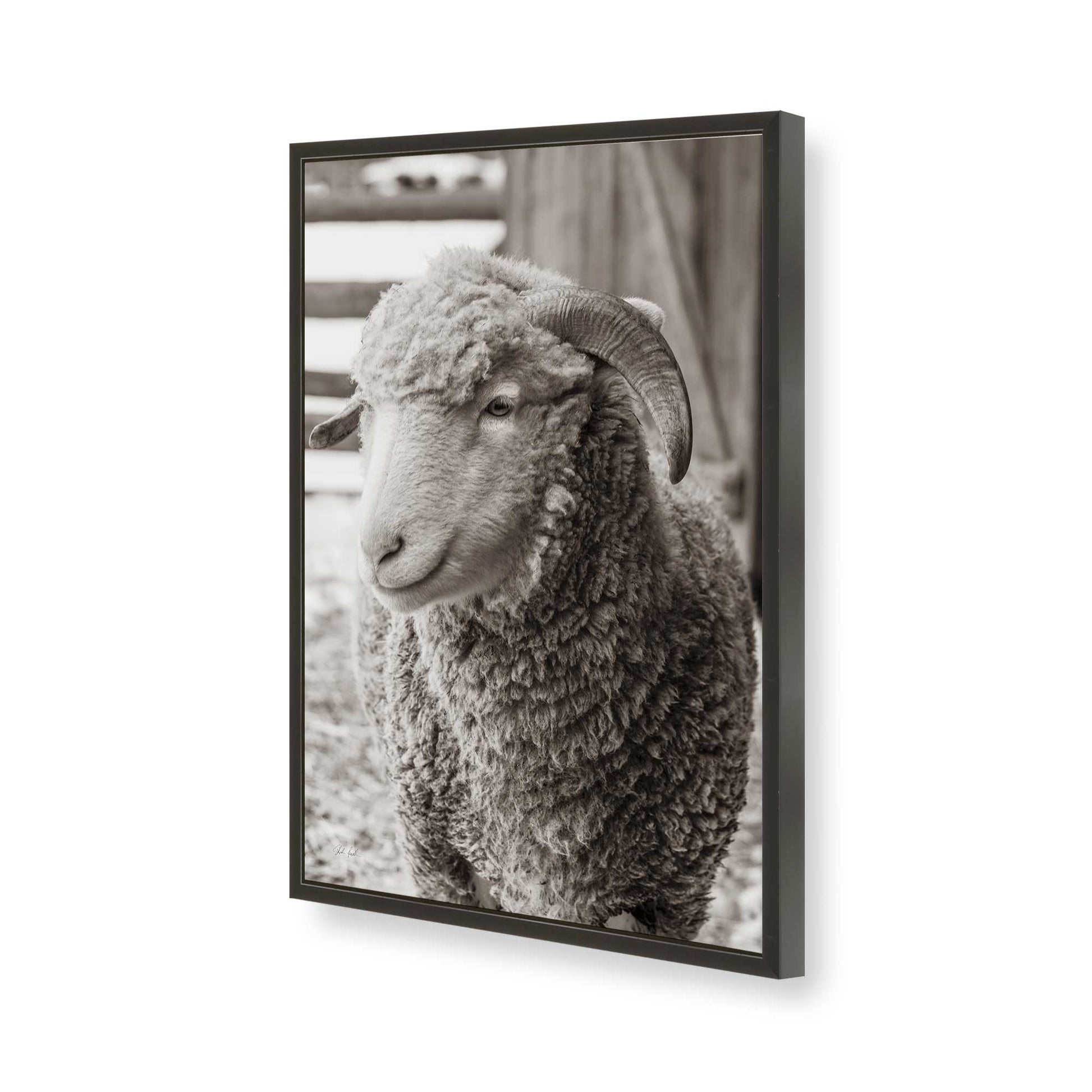 [Color:Satin Black], Picture of art in a Satin Black frame of the corner
