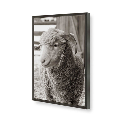 [Color:Satin Black], Picture of art in a Satin Black frame of the corner