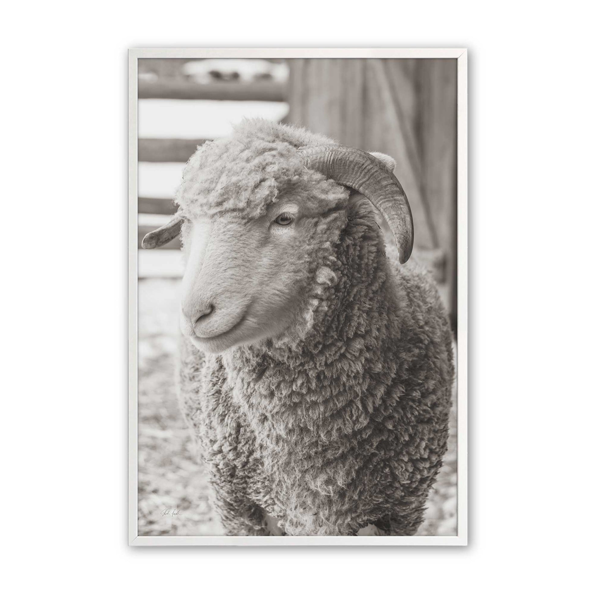 [Color:Opaque White], Picture of art in a Opaque White frame