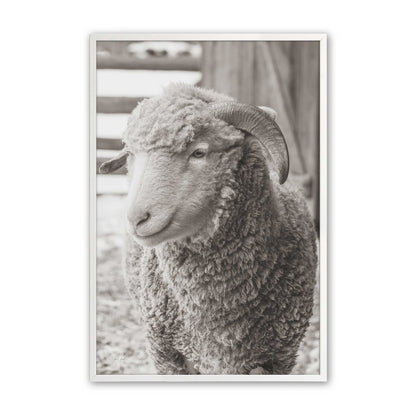 [Color:Opaque White], Picture of art in a Opaque White frame