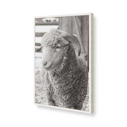 [Color:Opaque White], Picture of art in a Opaque White frame of the corner