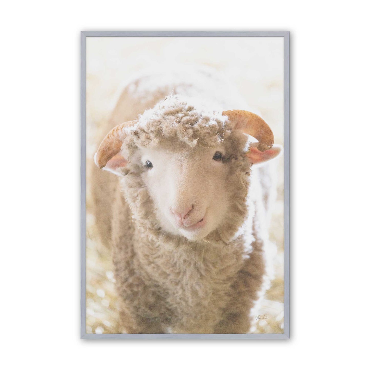 [Color:Polished Chrome], Picture of art in a Polished Chrome frame