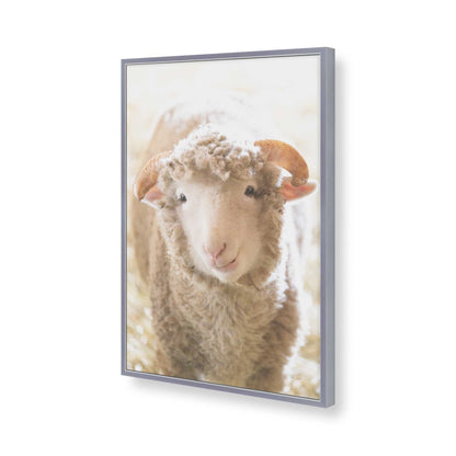 [Color:Polished Chrome], Picture of art in a Polished Chrome frame of the corner