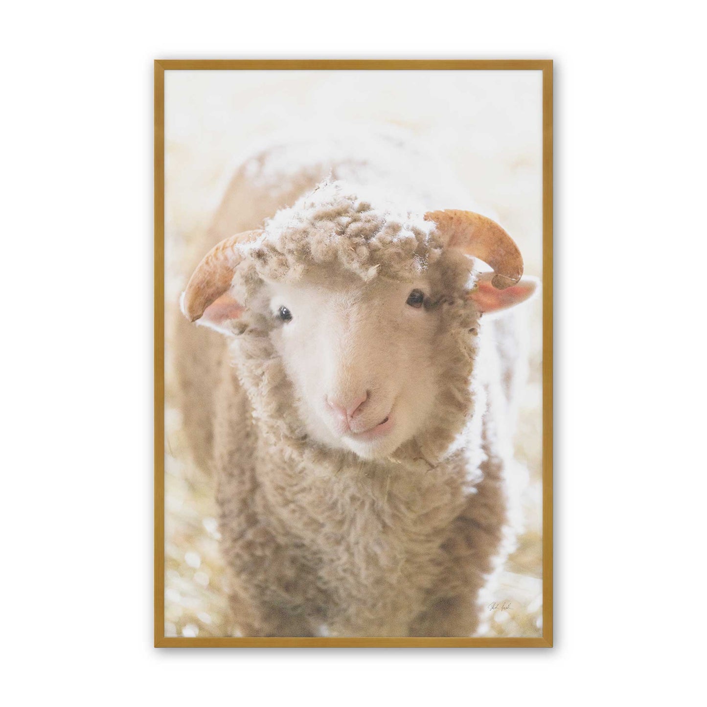 [Color:Polished Gold], Picture of art in a Polished Gold frame