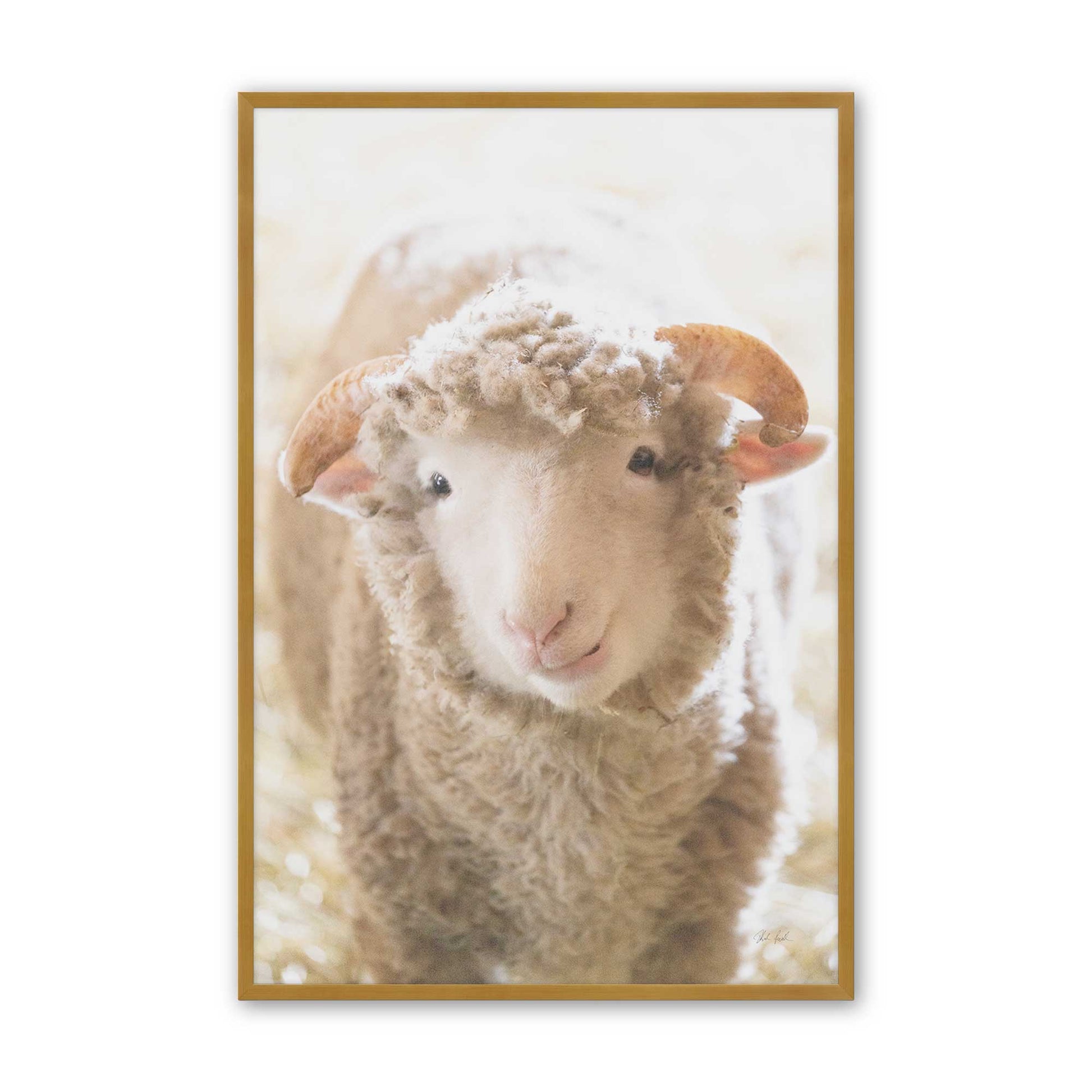 [Color:Polished Gold], Picture of art in a Polished Gold frame