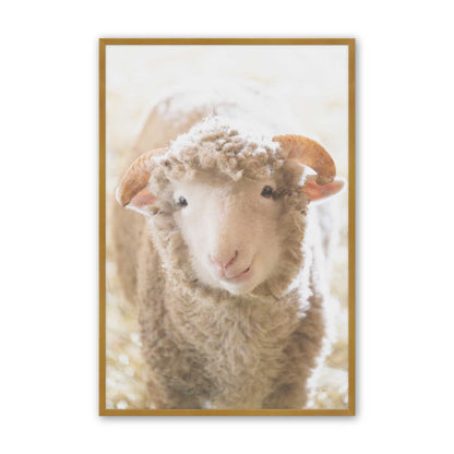 [Color:Polished Gold], Picture of art in a Polished Gold frame