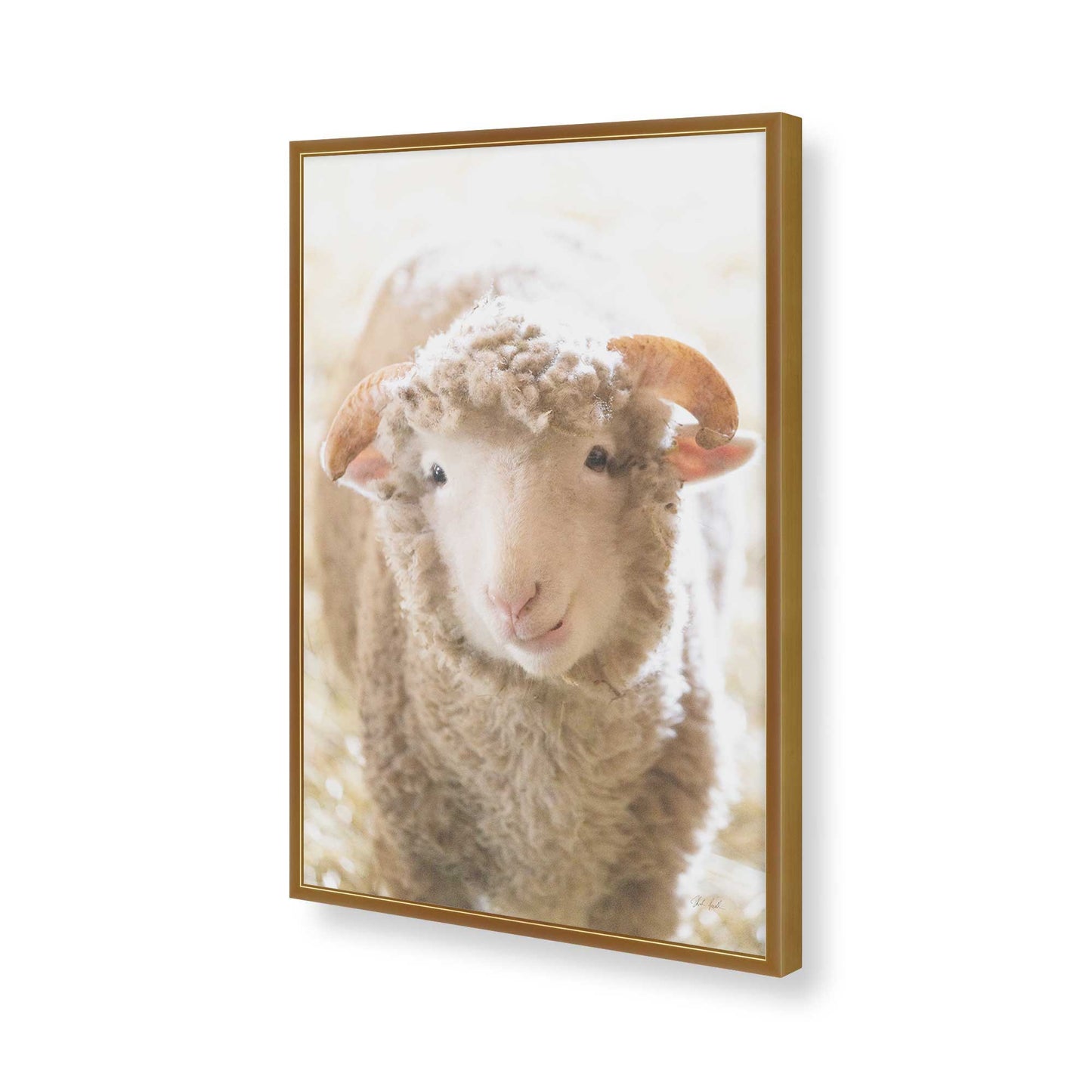 [Color:Polished Gold], Picture of art in a Polished Gold frame of the corner