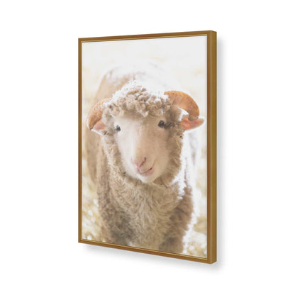 [Color:Polished Gold], Picture of art in a Polished Gold frame of the corner
