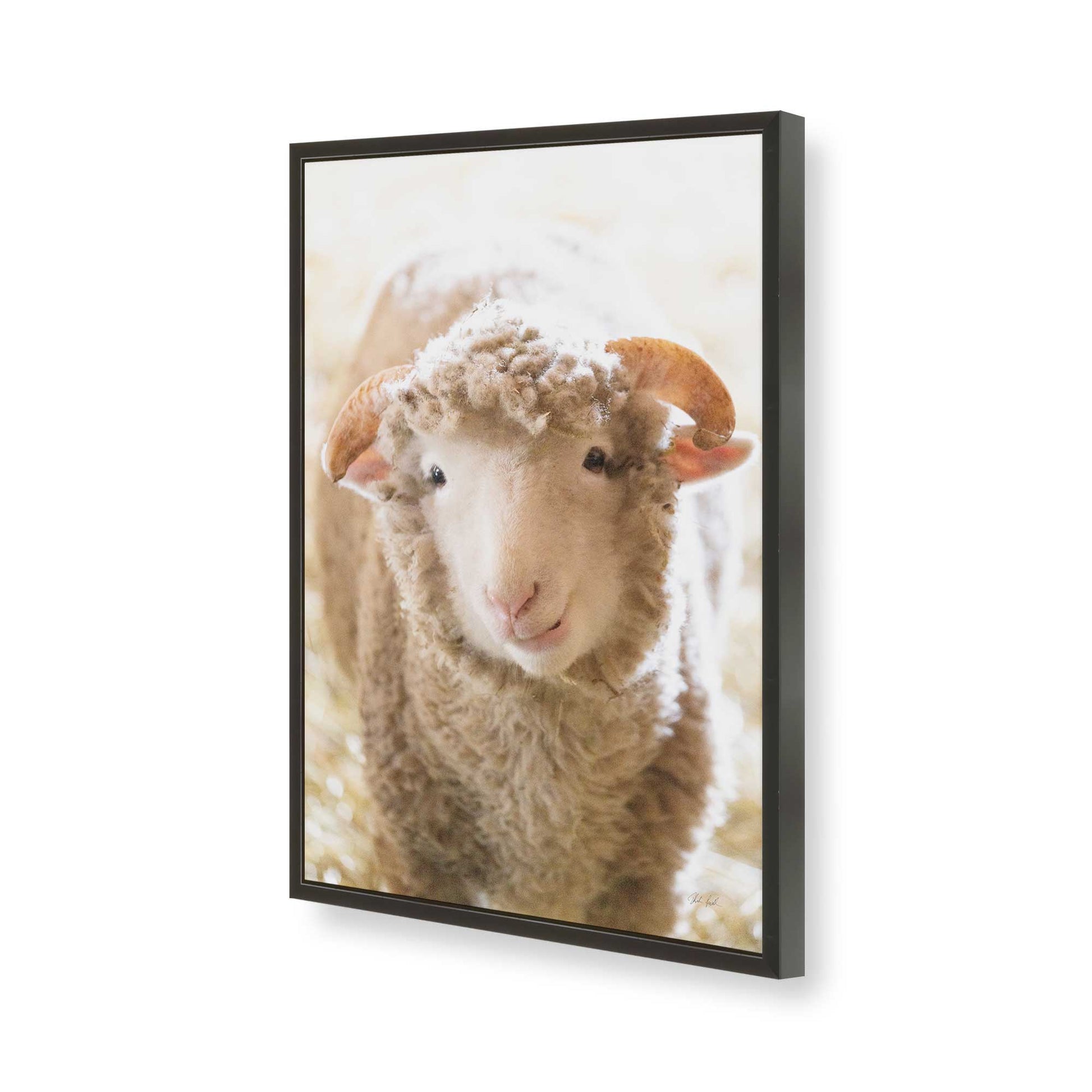 [Color:Satin Black], Picture of art in a Satin Black frame of the corner