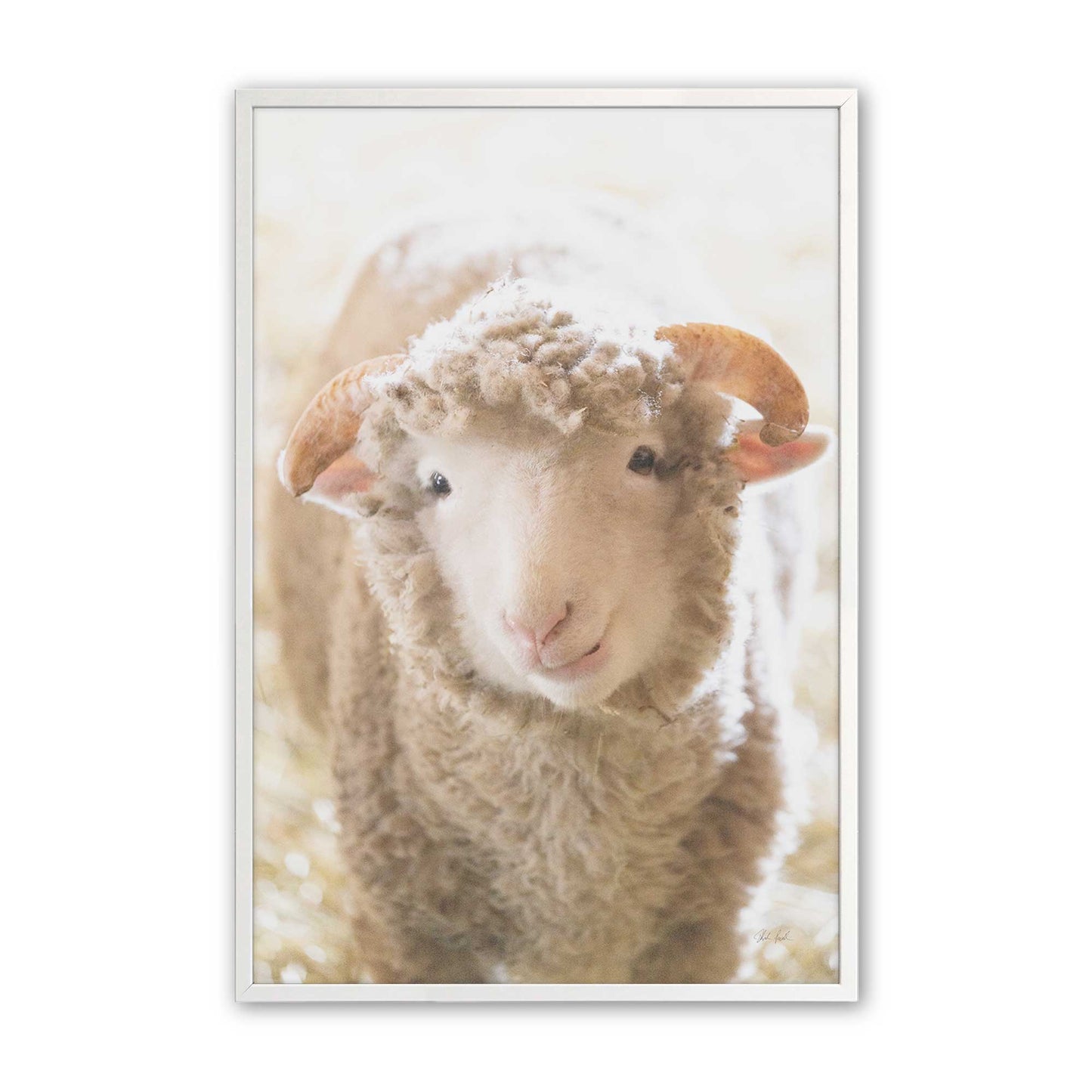 [Color:Opaque White], Picture of art in a Opaque White frame
