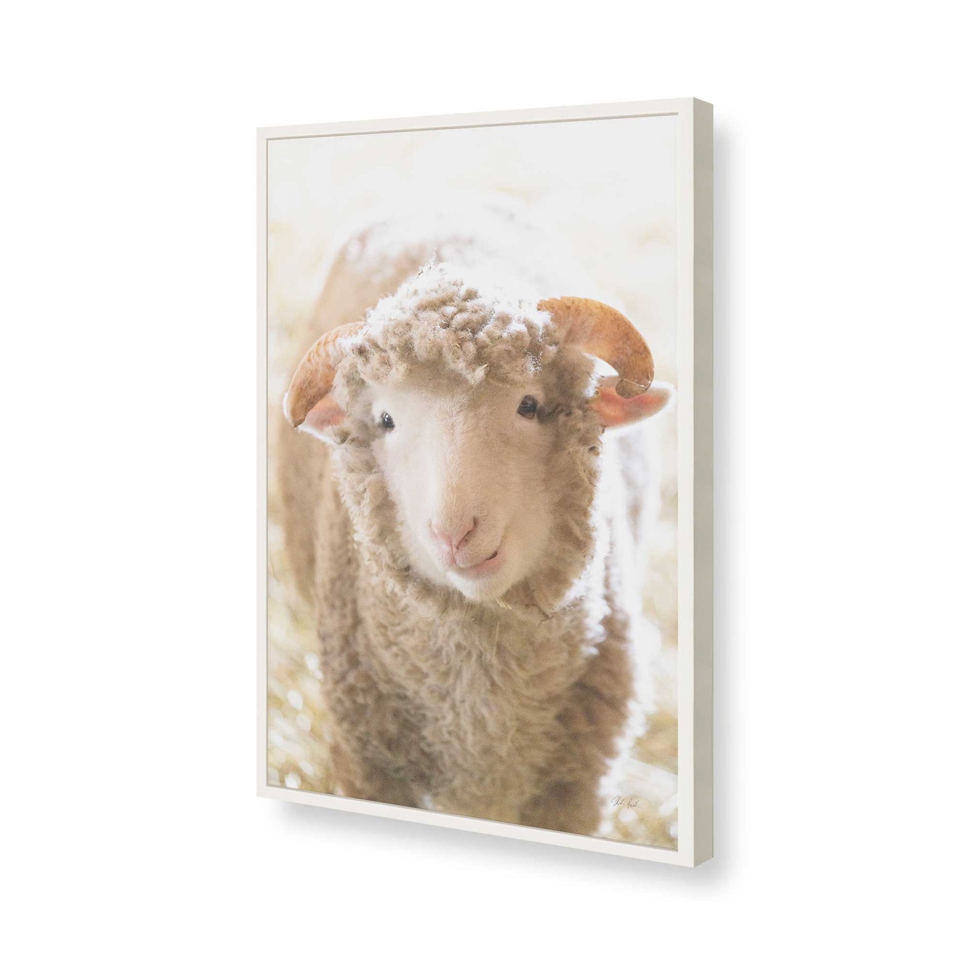 [Color:Opaque White], Picture of art in a Opaque White frame of the corner