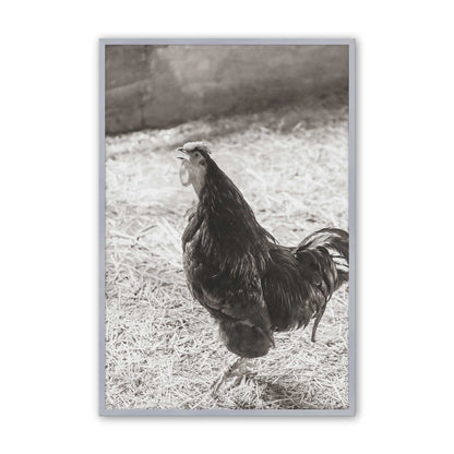 [Color:Polished Chrome], Picture of art in a Polished Chrome frame