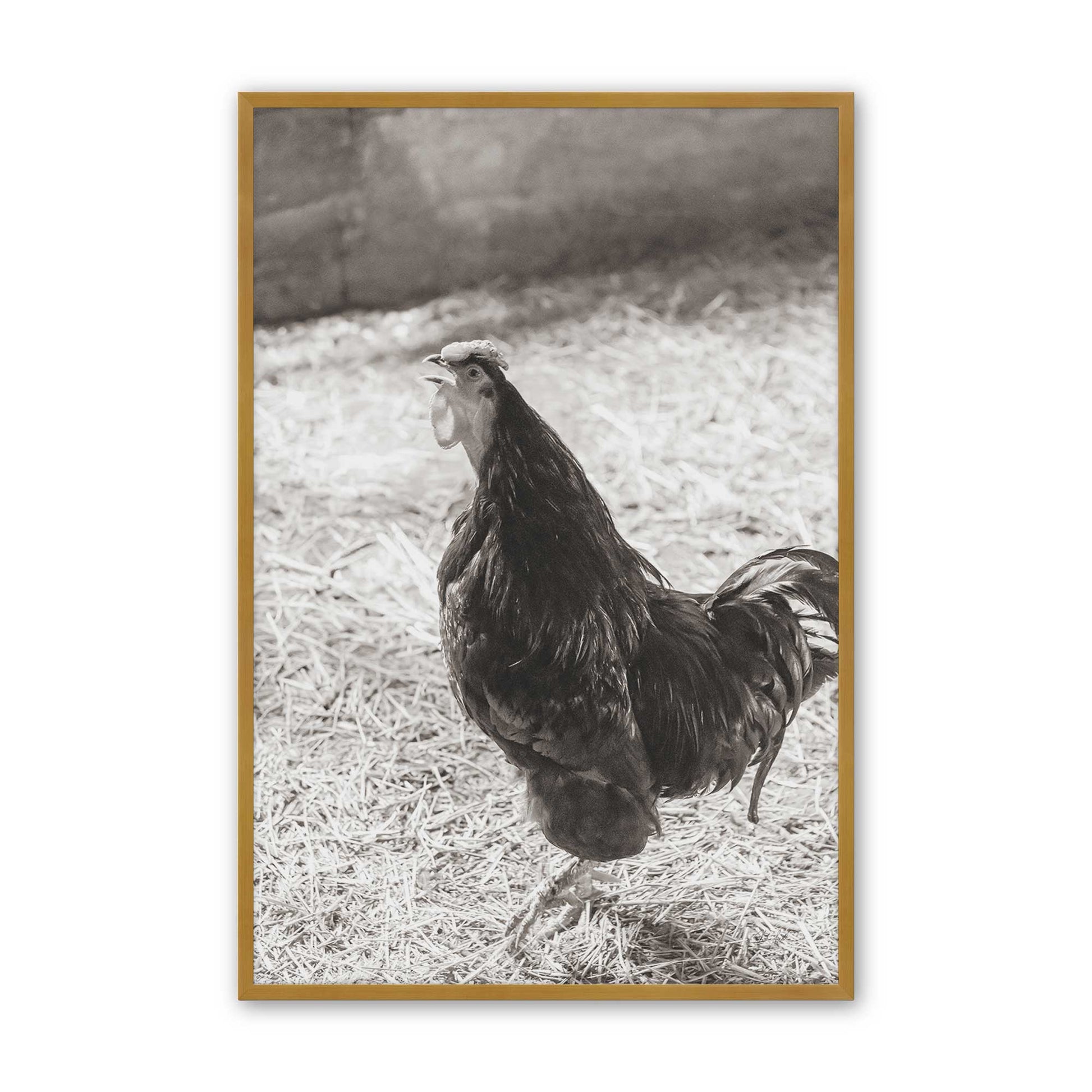 [Color:Polished Gold], Picture of art in a Polished Gold frame