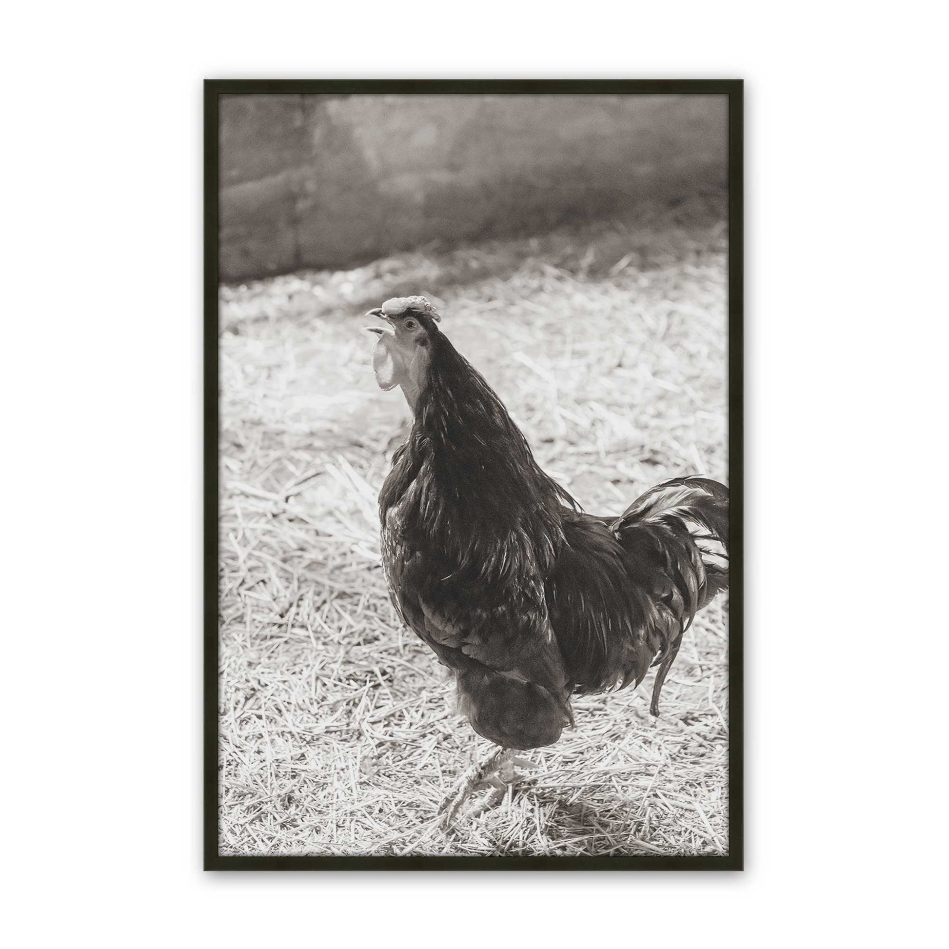 [Color:Satin Black], Picture of art in a Satin Black frame