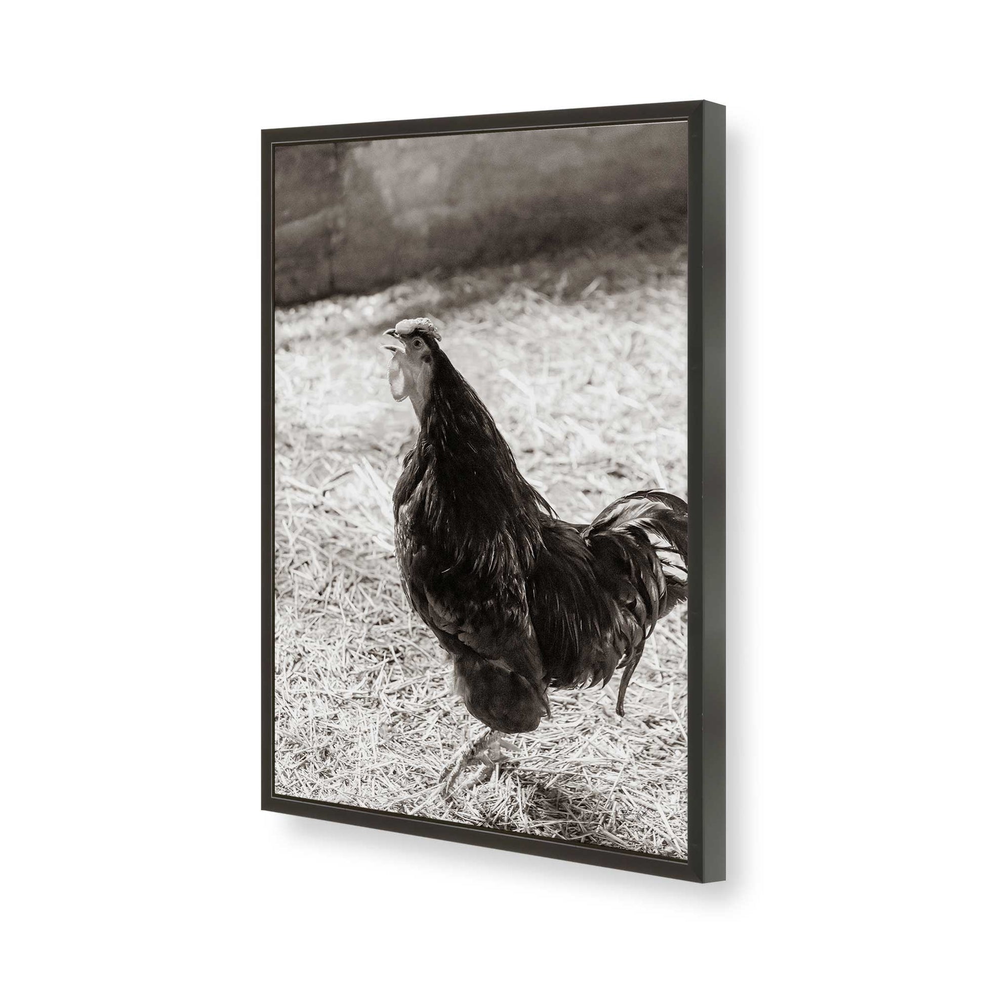 [Color:Satin Black], Picture of art in a Satin Black frame of the corner