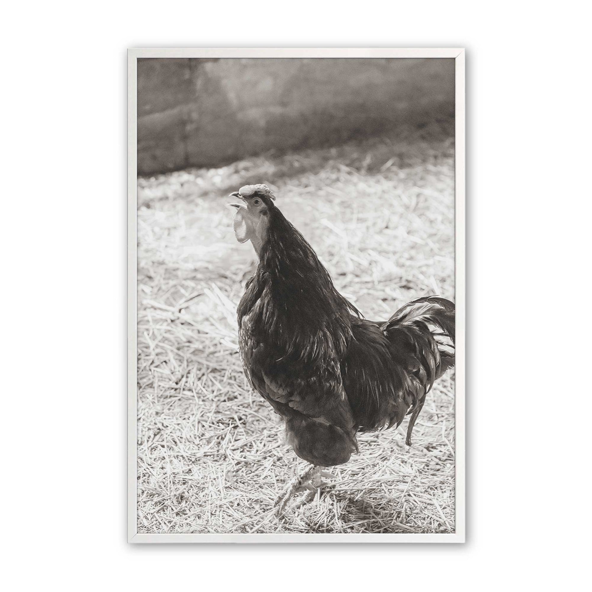 [Color:Opaque White], Picture of art in a Opaque White frame