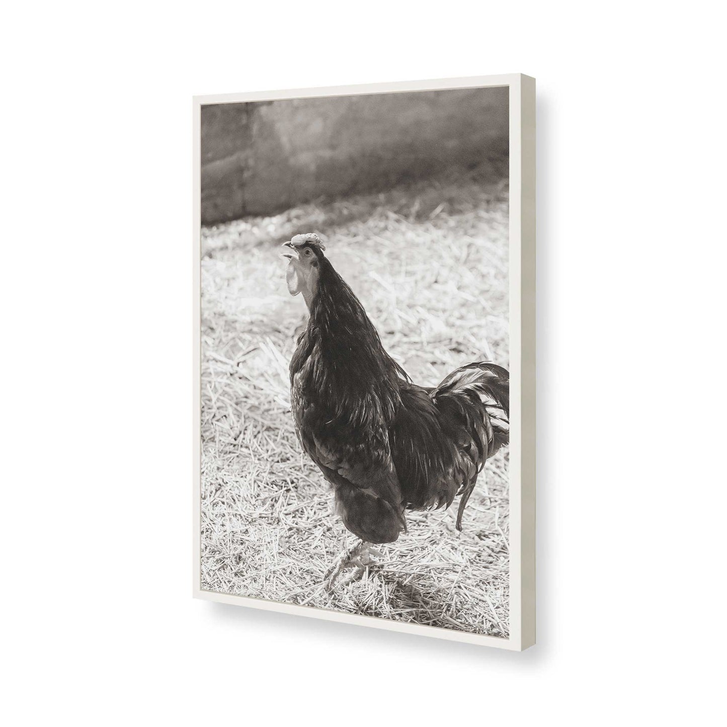 [Color:Opaque White], Picture of art in a Opaque White frame of the corner