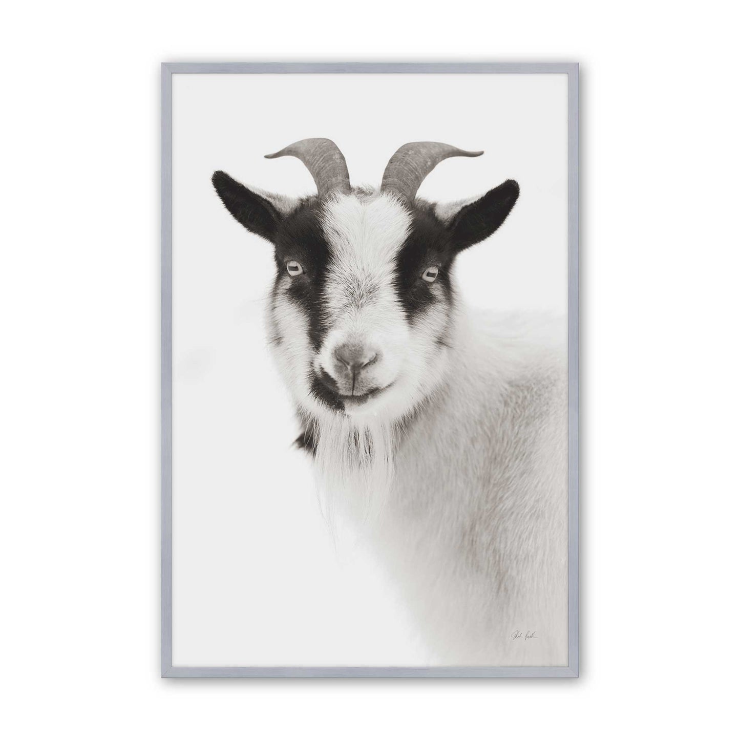 [Color:Polished Chrome], Picture of art in a Polished Chrome frame